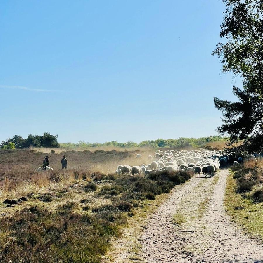 Luxe Vakantiehuis Huismus Veluwe Nunspeet Extérieur photo